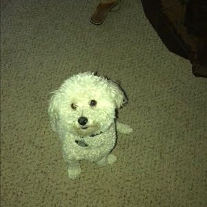 Meet your Posher, Christa